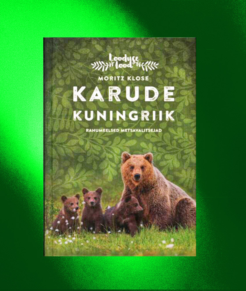 Karude kuningriik